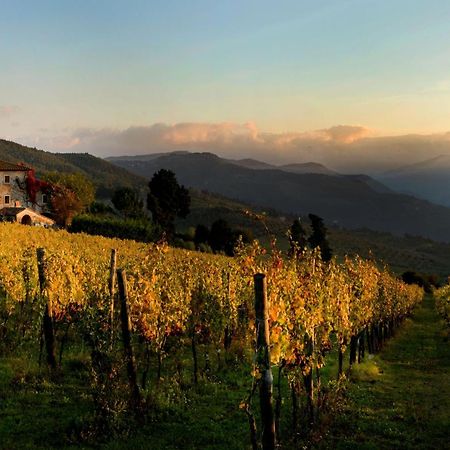 Agriturismo Fattoria Lavacchio بونتاسيفي المظهر الخارجي الصورة