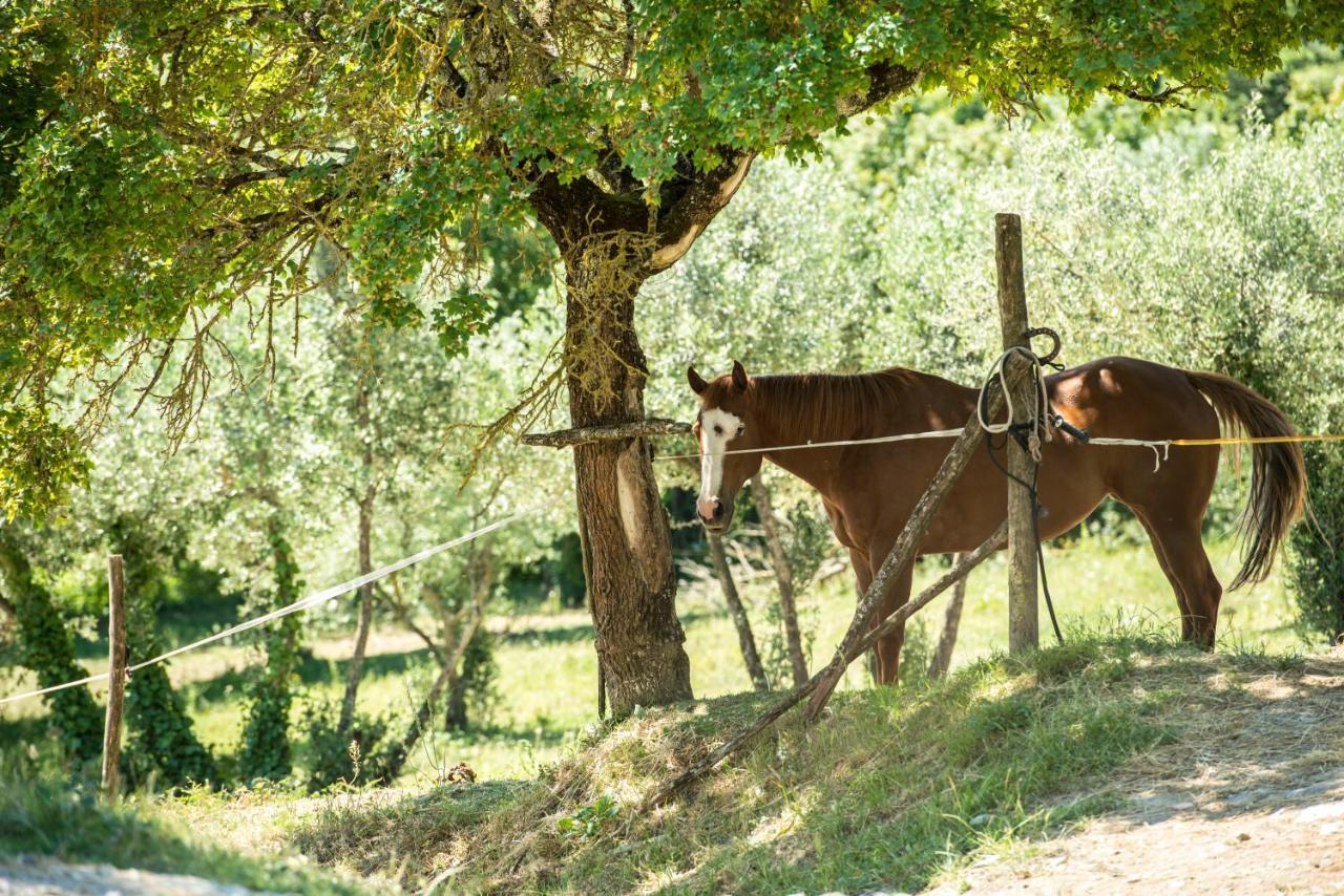 Agriturismo Fattoria Lavacchio بونتاسيفي المظهر الخارجي الصورة