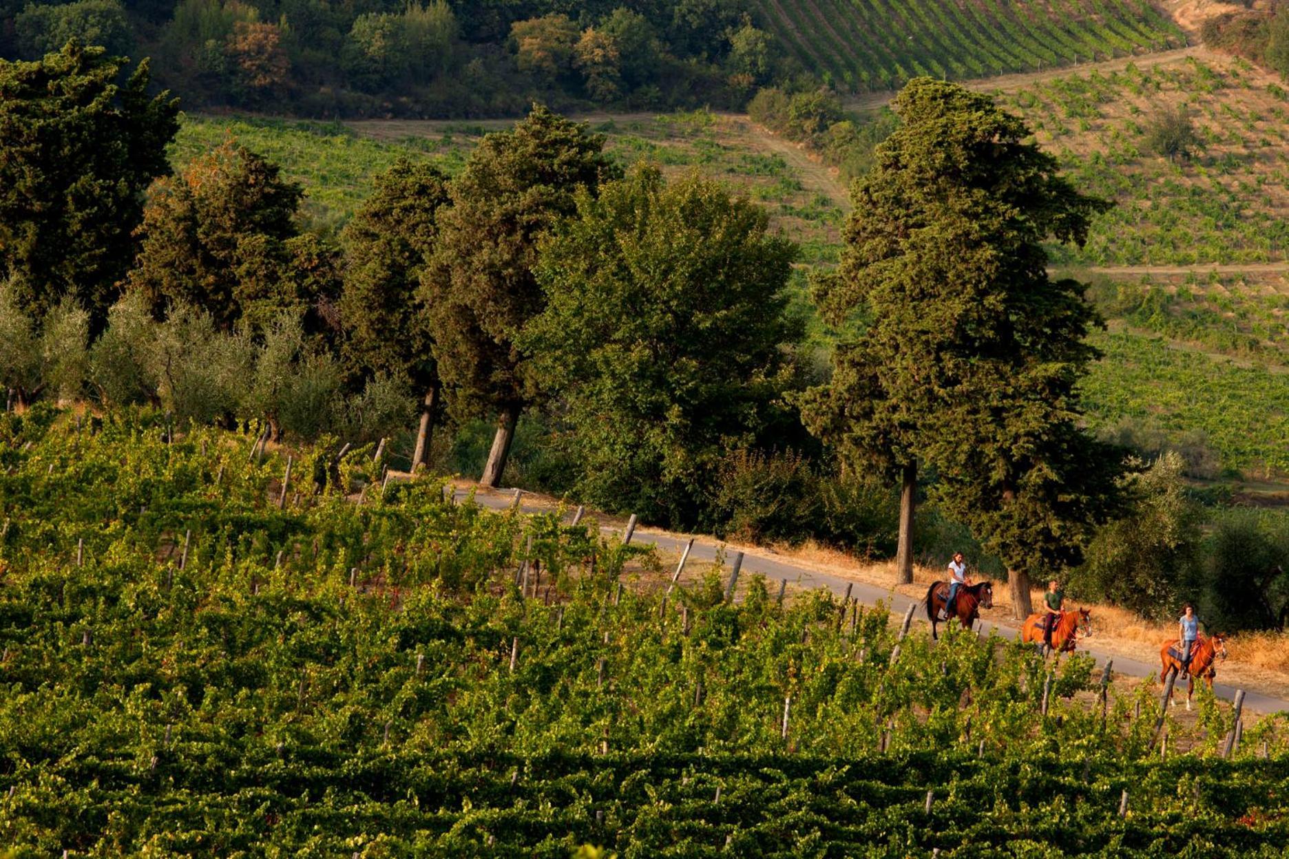 Agriturismo Fattoria Lavacchio بونتاسيفي المظهر الخارجي الصورة