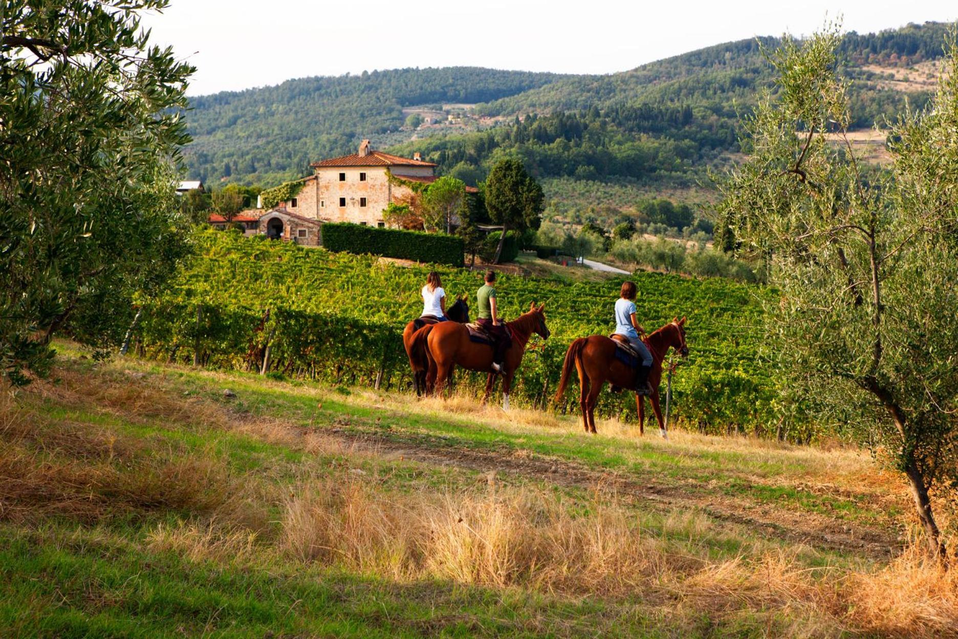Agriturismo Fattoria Lavacchio بونتاسيفي المظهر الخارجي الصورة