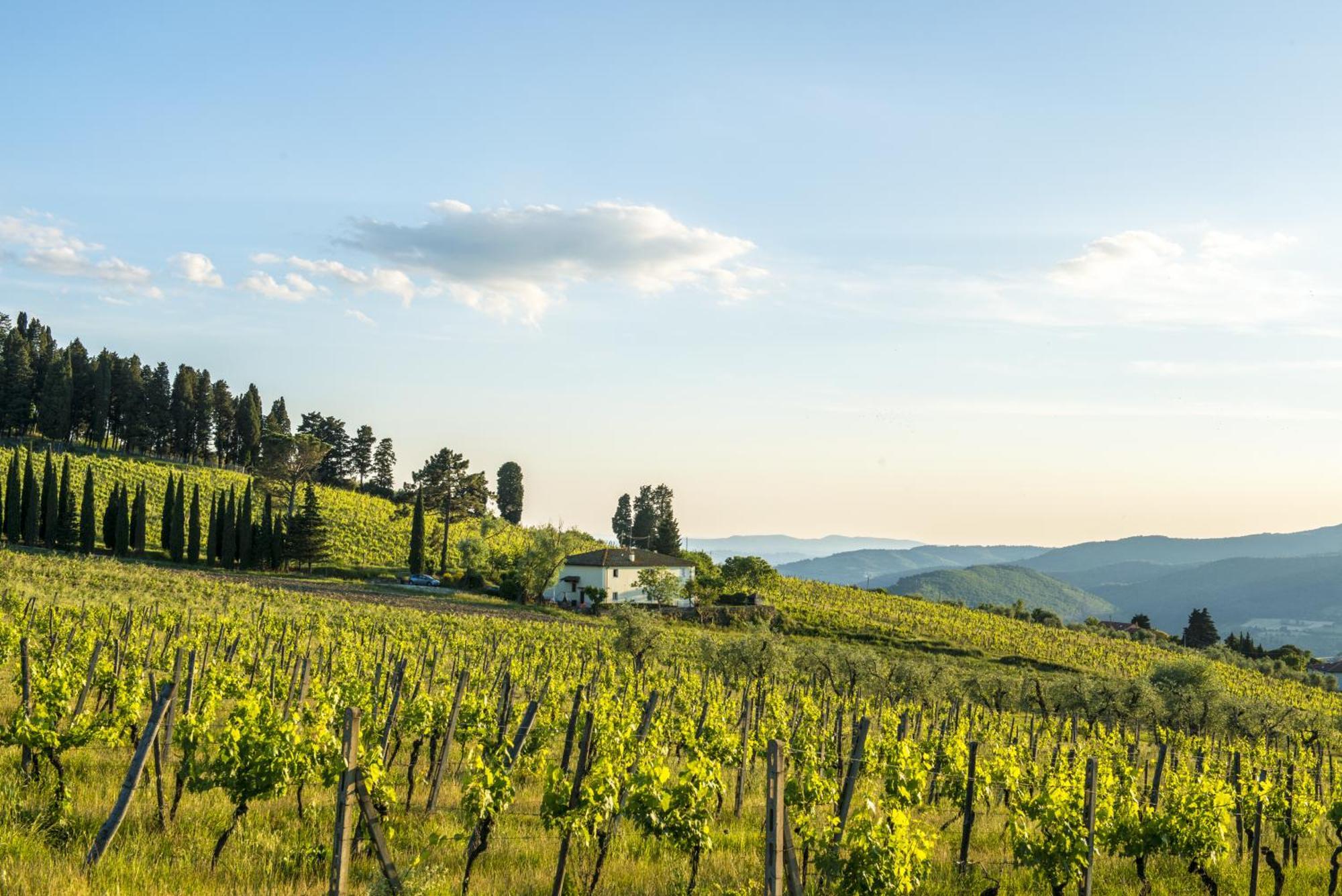 Agriturismo Fattoria Lavacchio بونتاسيفي الغرفة الصورة