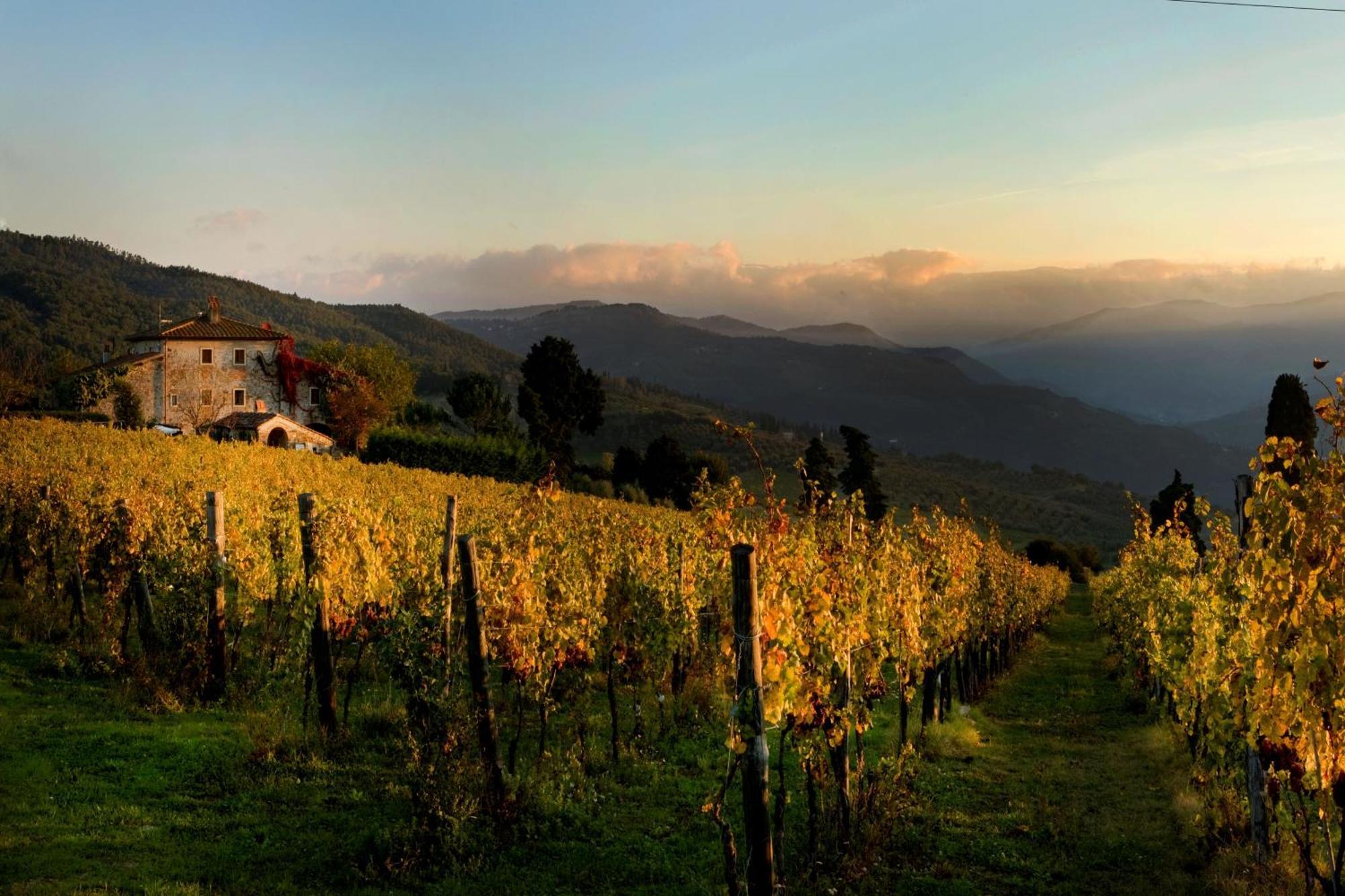 Agriturismo Fattoria Lavacchio بونتاسيفي المظهر الخارجي الصورة